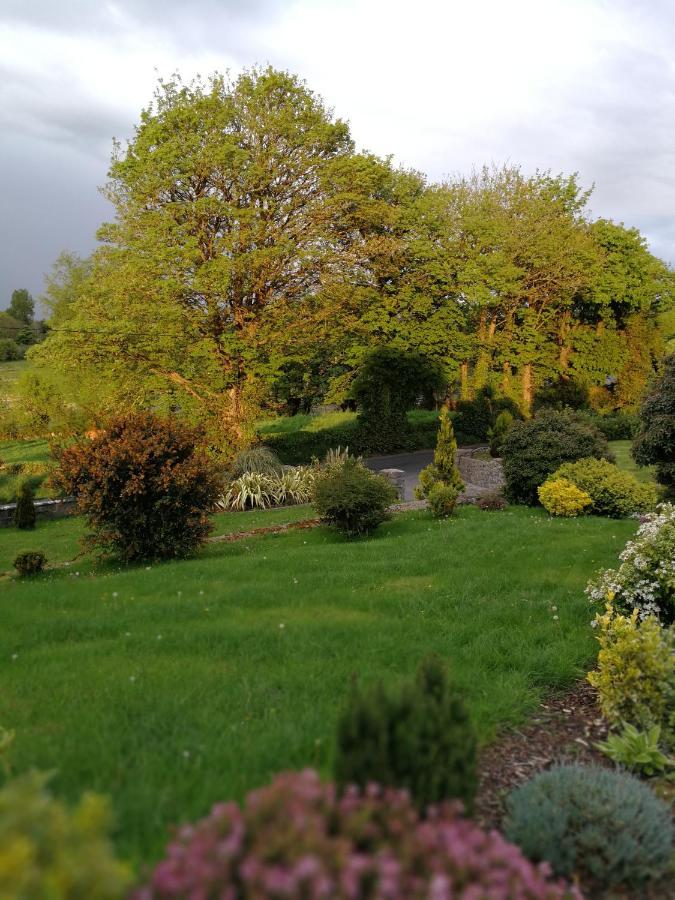Tower View Lodge Ennis Esterno foto